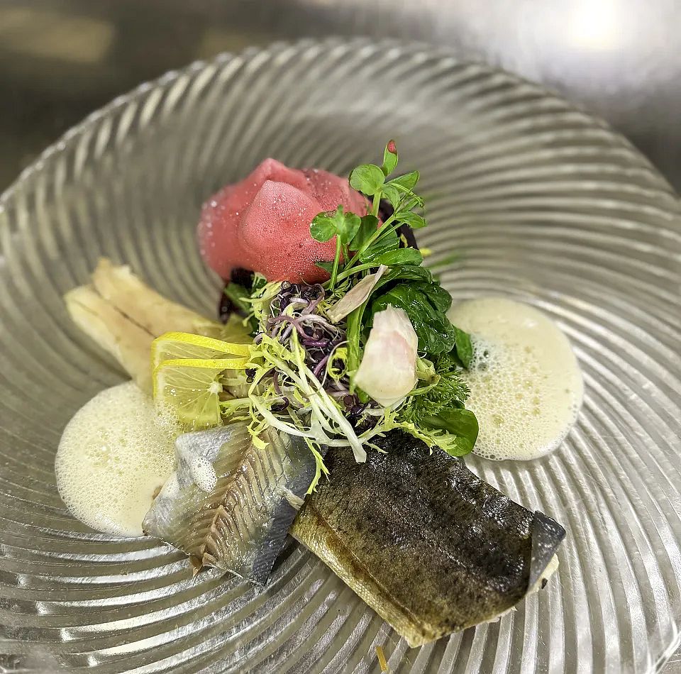 rote-bete-kaltgeraeucherte-forelle-apfel-krenschaum-wildkraeuter