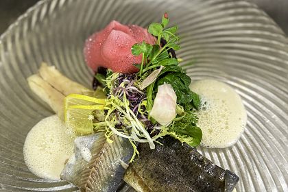 rote-bete-kaltgeraeucherte-forelle-apfel-krenschaum-wildkraeuter-1